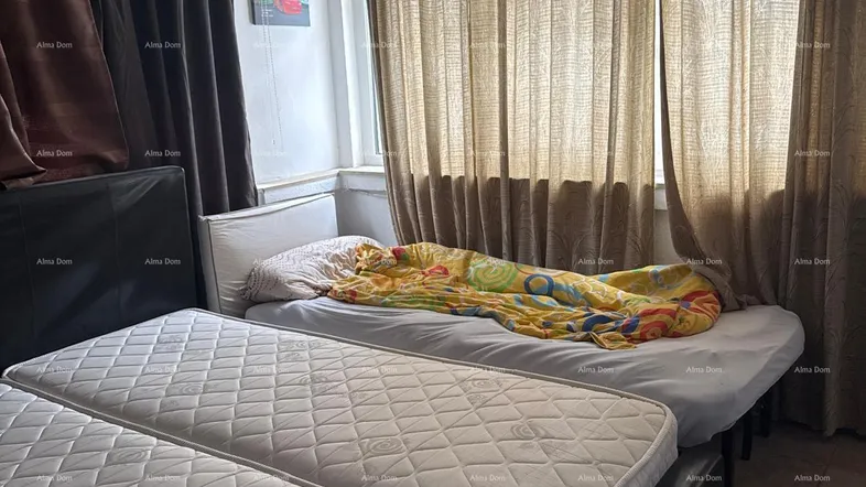 Gemütliches Schlafzimmer mit zwei Einzelbetten und Vorhängen vor dem Fenster.