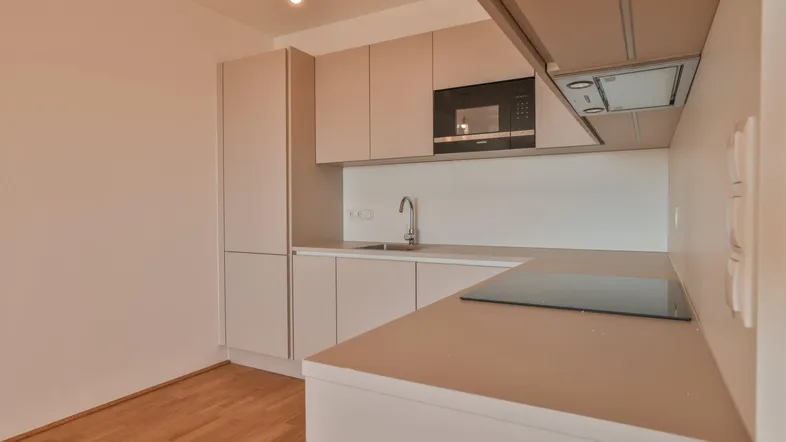 Moderne Einbauküche mit hellen Schränken, integriertem Backofen und Induktionskochfeld.