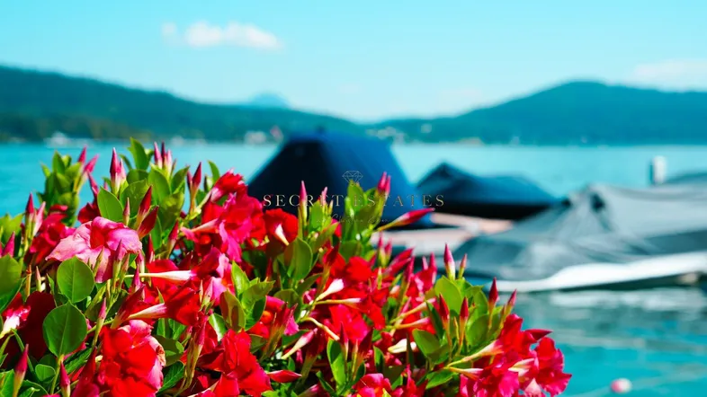Rote Blumen im Vordergrund mit einem See und Bergen im Hintergrund unter blauem Himmel.