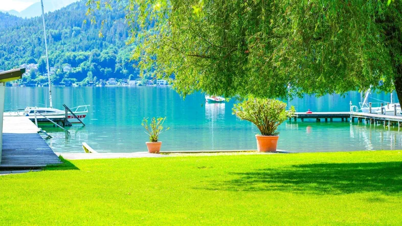 Grüner Rasenbereich am Seeufer mit Blick auf den See und die Berge, umgeben von üppiger Natur.