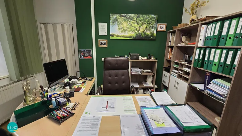 Geräumiges Büro mit grün gestrichener Wand, großem Schreibtisch und Regalen voller Aktenordner.