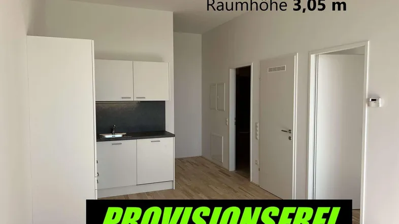 Moderne Küchenzeile in einem hellen Raum mit hohen Decken und Parkettboden.