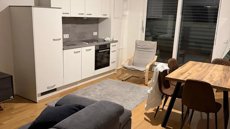 Offener Wohn-Essbereich mit integrierter weißer Küche, Holzboden und Zugang zur Terrasse.
