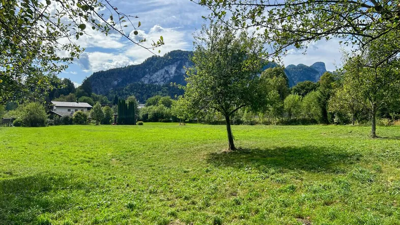 Grundstück