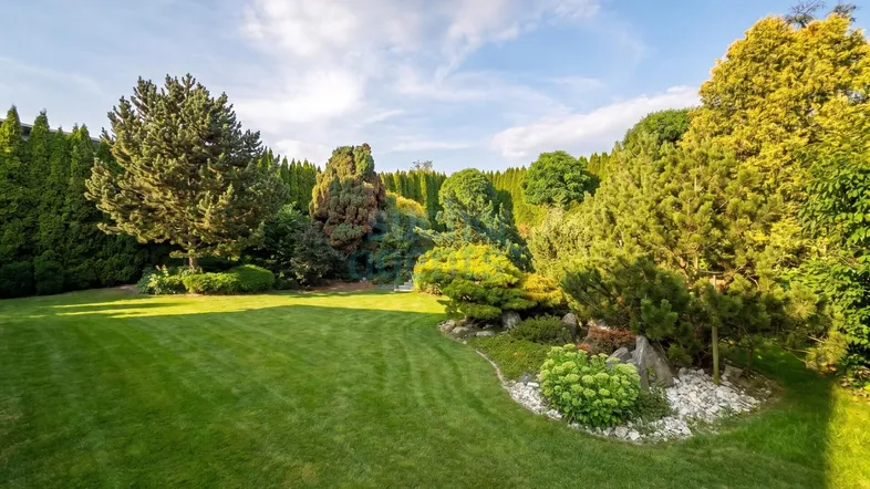 Gepflegter Garten mit weitläufiger Rasenfläche, hohen Bäumen und dekorativen Sträuchern unter blauem Himmel.