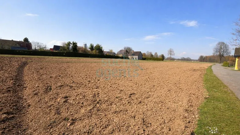 Weites, gepflügtes Feld unter blauem Himmel mit Häusern in der Ferne und einem Weg am Rand.