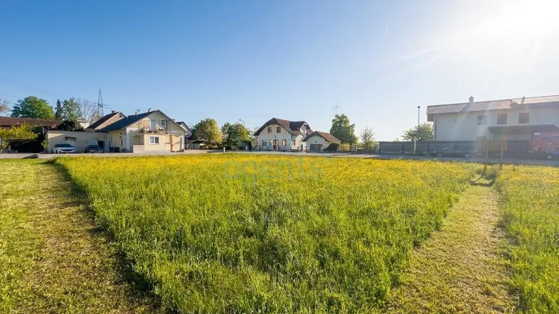 Sonniges Grundstück mit grüner Wiese und gelben Blumen, umgeben von Wohnhäusern in ländlicher Umgebung.