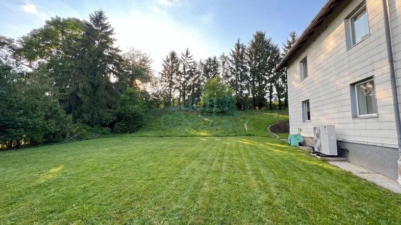 Großer, gepflegter Rasenbereich neben dem Haus mit Bäumen im Hintergrund unter blauem Himmel.