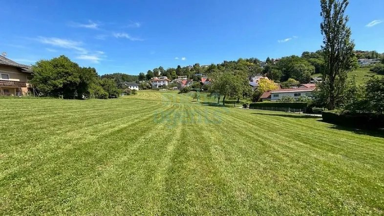 Weitläufige grüne Wiese mit Blick auf Wohnhäuser und Bäume unter blauem Himmel.