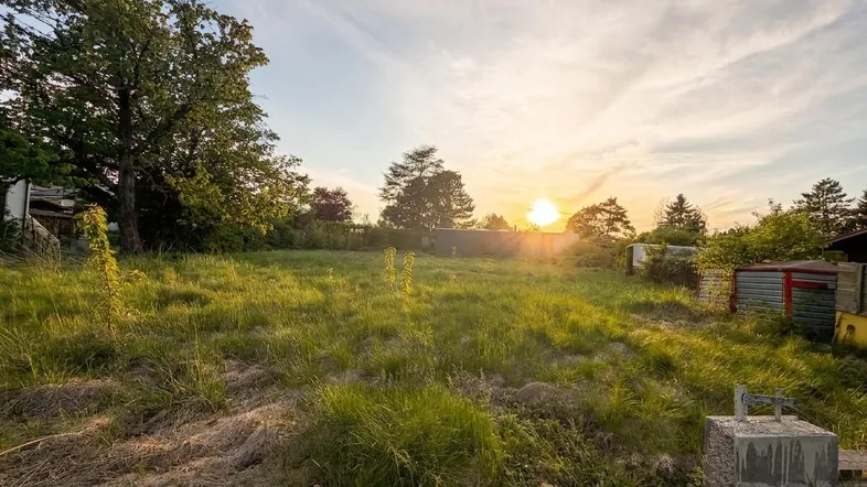 Weitläufiges grünes Grundstück mit Bäumen und einem malerischen Sonnenuntergang am Horizont.