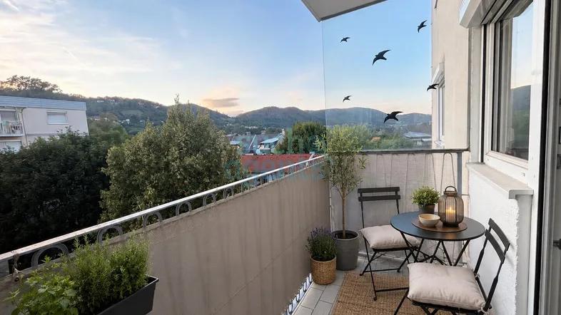 Gemütlicher Balkon mit Sitzgelegenheiten, Pflanzen und weitem Blick ins Grüne und auf die umliegenden Hügel.