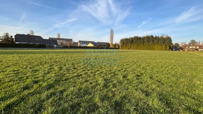 Weitläufige Grünfläche mit Blick auf umliegende Häuser und Bäume unter blauem Himmel.