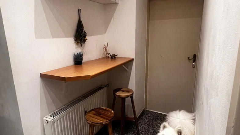 Kleiner Flurbereich mit Holztresen, Hockern und einem Heizkörper, daneben ein weißer Hund.