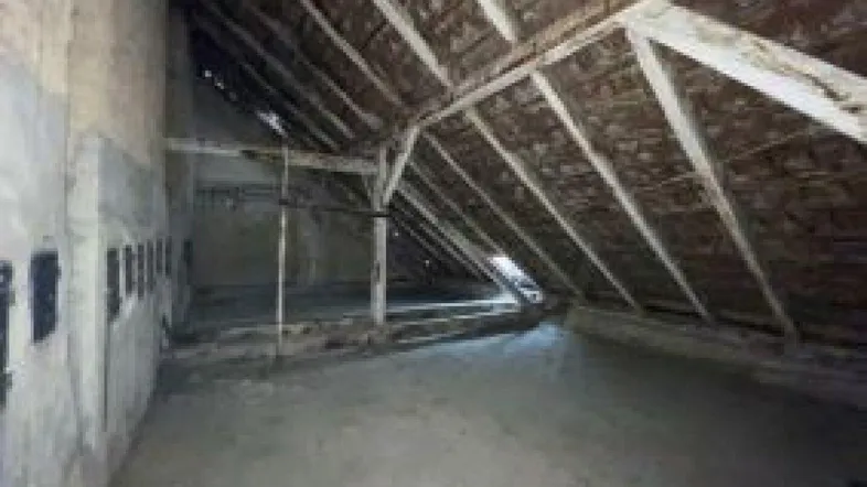 Geräumiger Dachboden mit sichtbaren Holzbalken und schrägen Wänden, ideal für zukünftigen Ausbau.