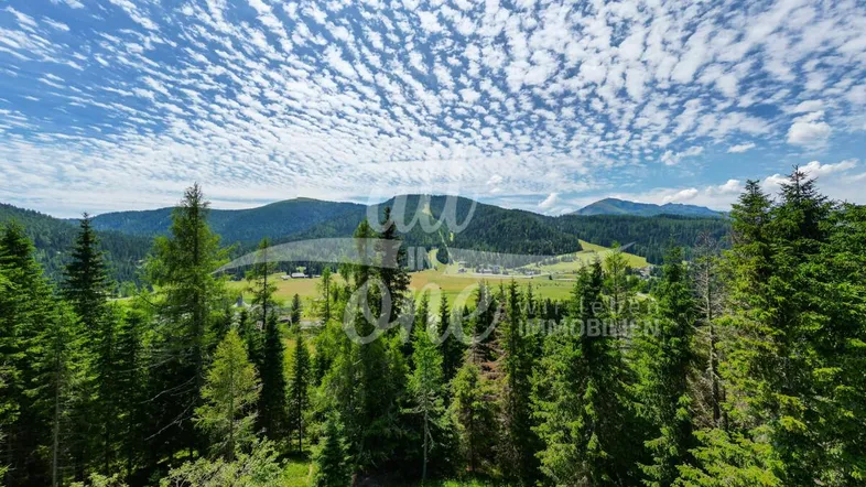 Panoramablick auf die umliegende Berglandschaft mit weiten Wäldern und einem klaren Himmel.