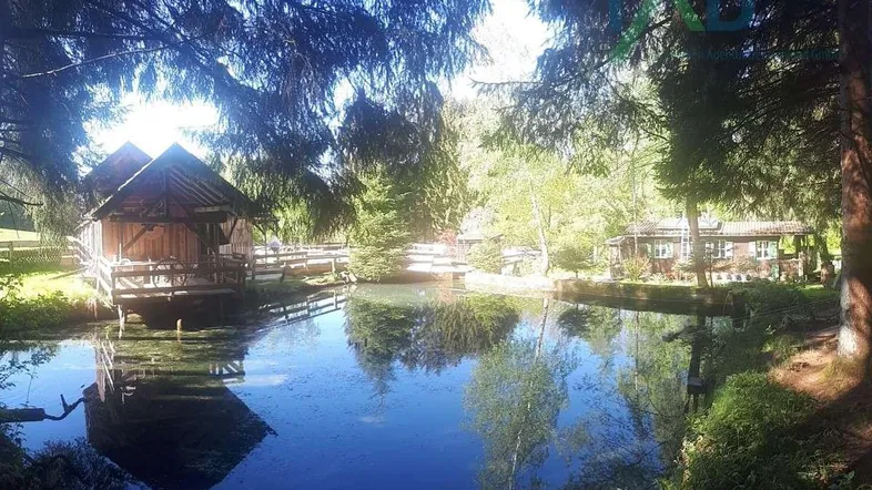 Fischteich