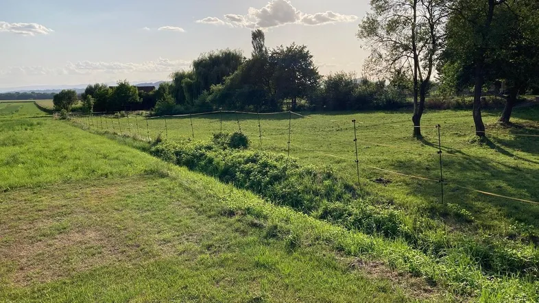 Weitläufige grüne Landschaft mit Feldern, Bäumen und einem Zaun unter strahlendem Himmel.