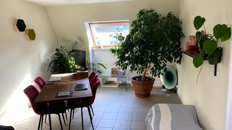 Helles Wohn- und Esszimmer mit Fliesenboden, Dachfenster und vielen Pflanzen.