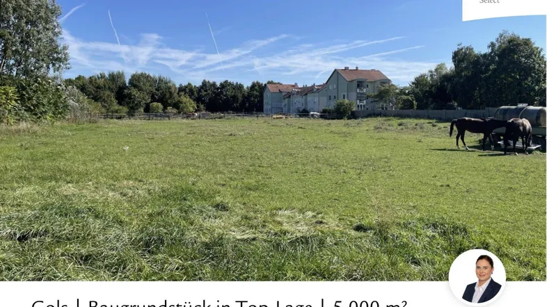 Weitläufiges Baugrundstück mit grüner Wiese, Pferden und Wohngebäuden im Hintergrund unter blauem Himmel.