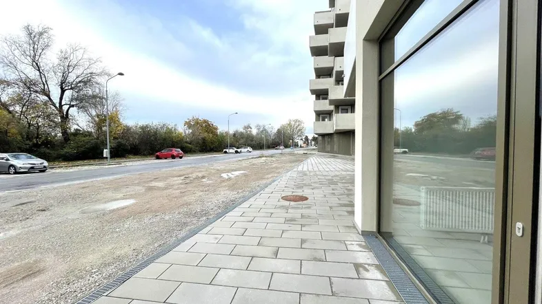 Moderne Gebäudefassade mit großen Glasflächen und Bürgersteig entlang einer Straße mit Bäumen.