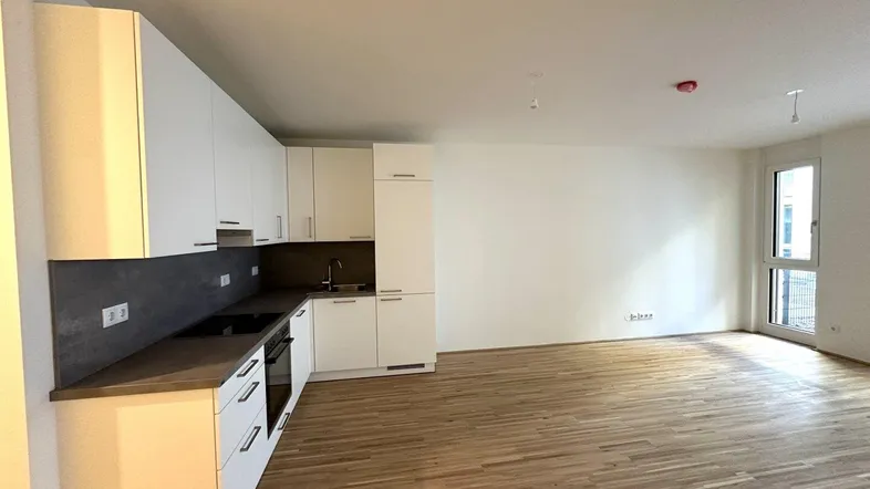 Moderne Einbauküche in einem offenen Wohnbereich mit hellem Parkettboden und Zugang nach draußen.