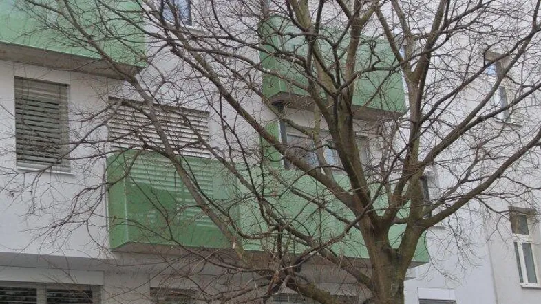 Mehrstöckiges Wohngebäude mit grünen Balkonen und einem kahlen Baum im Vordergrund.