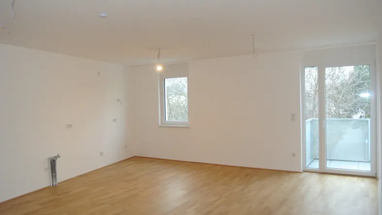 Heller, unmöblierter Wohnraum mit Parkettboden und Zugang zu einem kleinen Balkon.