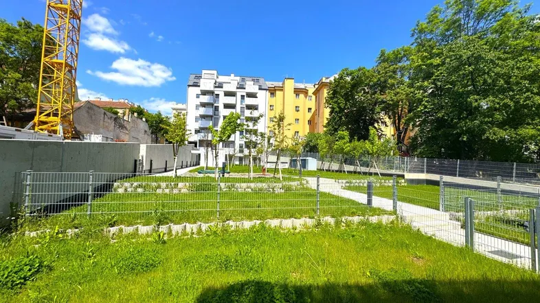Gepflegte Grünfläche mit jungen Bäumen und Blick auf moderne Wohngebäude unter blauem Himmel.