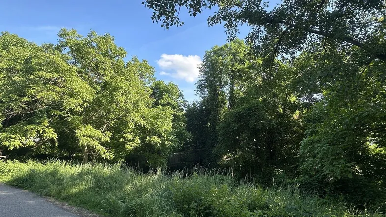 Grüne Bäume und üppiges Gras säumen einen Weg unter blauem Himmel mit Wolken.