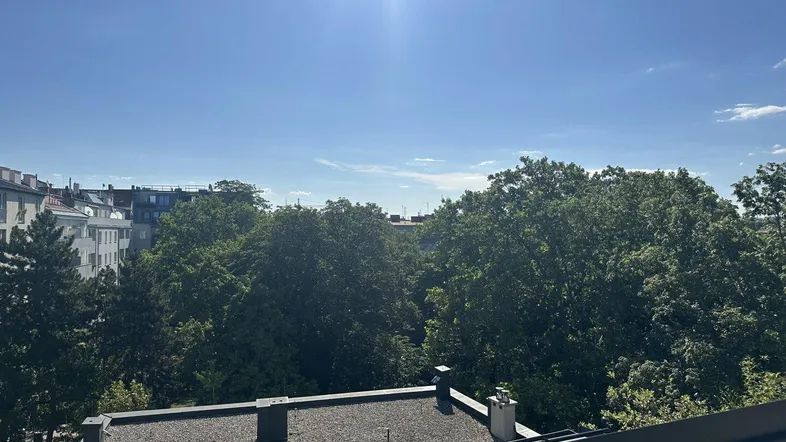 Panoramablick über Dächer und grüne Bäume mit Stadtsilhouette am Horizont.