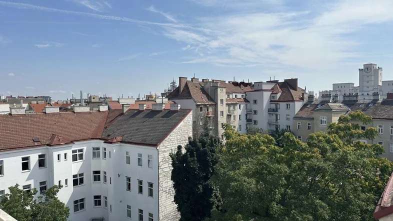 Weitläufiger Blick über die Dächer der Stadt mit grünen Bäumen unter blauem Himmel.