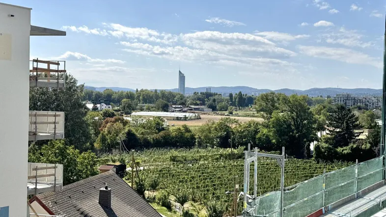 Weitläufiger Blick von einem Balkon über Weinberge und die Stadtlandschaft mit Hochhäusern.