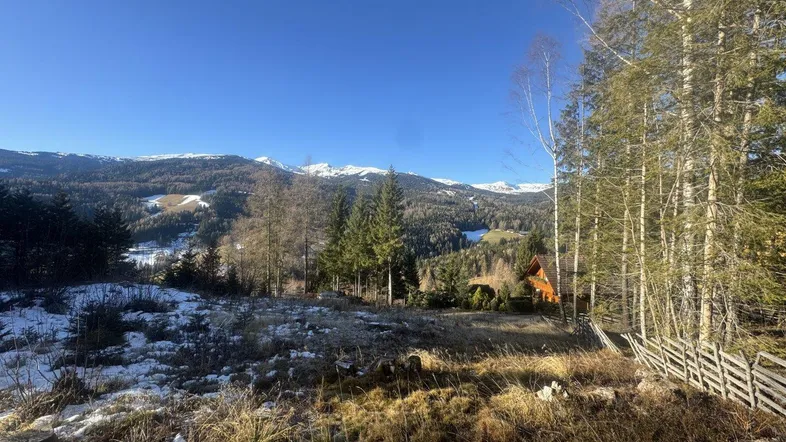 Panoramablick auf schneebedeckte Berge und weite Wälder unter klarem blauem Himmel.
