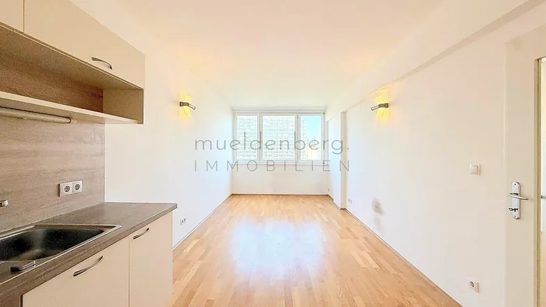 Heller Wohnraum mit integrierter Küchenzeile, Parkettboden und Blick nach draußen.