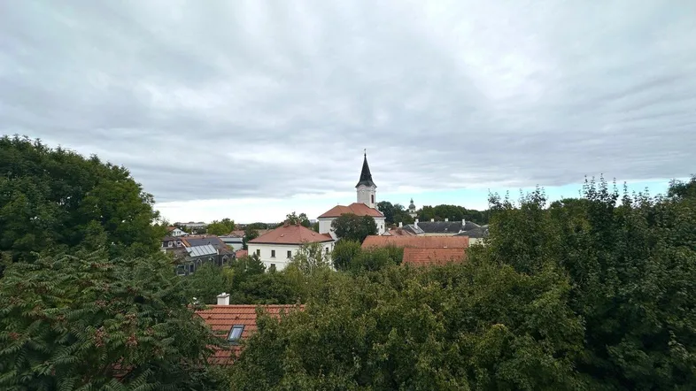 Malerischer Ausblick über die Dächer der Stadt mit einer Kirche und viel Grün.