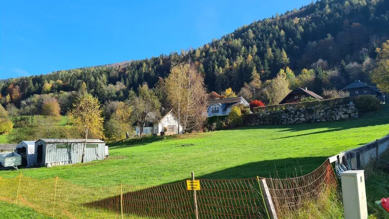 Grüne Hügellandschaft mit verstreuten Häusern und dichtem Wald im Hintergrund unter blauem Himmel.
