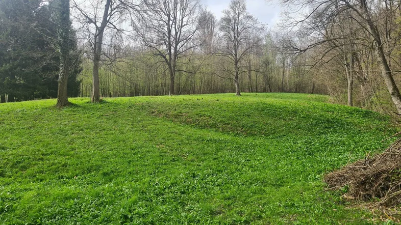 Grüne Wiese mit Bäumen im Hintergrund, ideal für einen weitläufigen Gartenbereich.