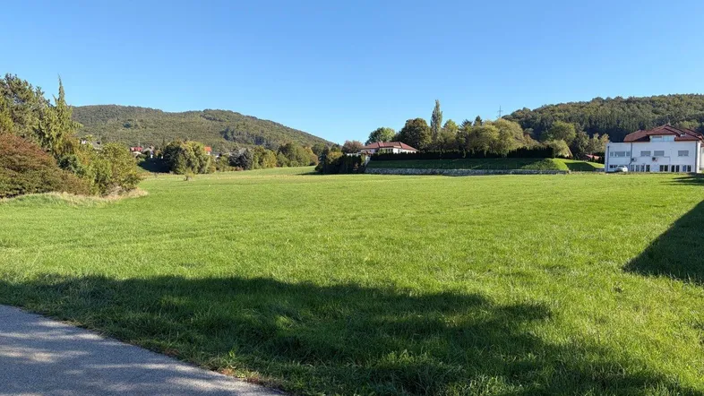 Weitläufige grüne Wiese mit sanften Hügeln im Hintergrund und vereinzelten Häusern am Horizont.