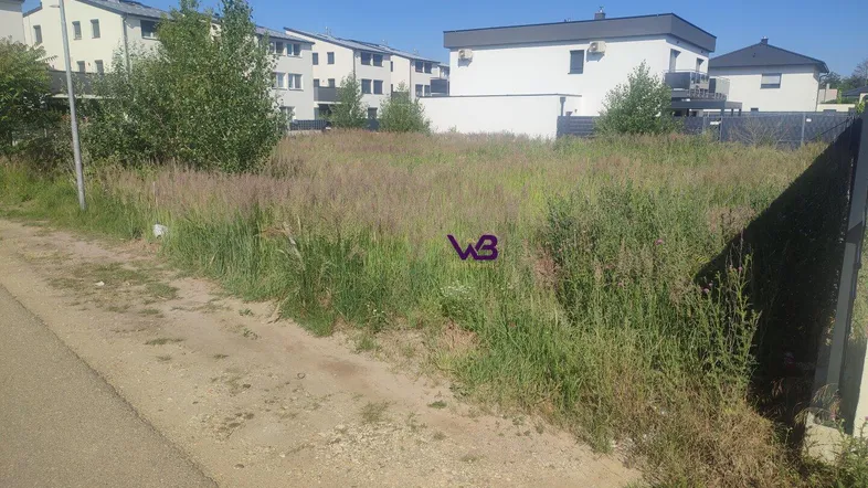 Unbebautes Grundstück mit hohem Gras und umliegenden Wohngebäuden unter blauem Himmel.