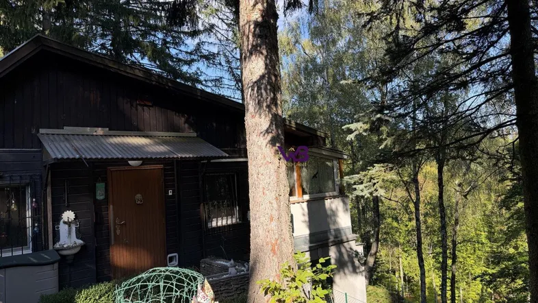 Dunkles Holzhaus umgeben von hohen Bäumen in einer natürlichen, bewaldeten Umgebung.