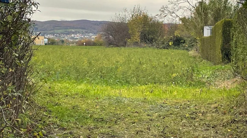 Blick auf ein grünes Feld oder Baugrundstück mit Hügeln im Hintergrund unter bewölktem Himmel.