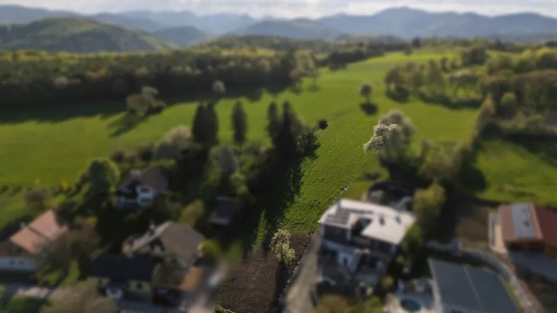 Luftaufnahme einer weitläufigen grünen Landschaft mit Wohnhäusern und Bergen im Hintergrund.