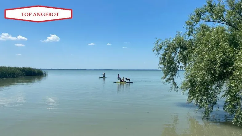 Weitläufiger Blick auf den See mit Wassersportlern und üppiger Vegetation am Ufer.