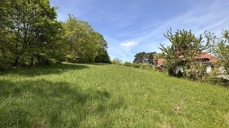 VILLEN-BAUGRUND - 2.000m²in Bestlage am Buchberg mit Studie - Klosterneuburg