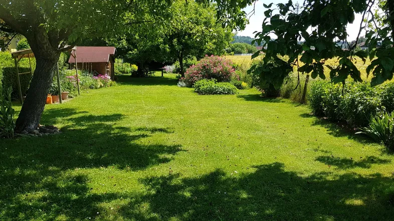 Gepflegter Garten mit Rasenfläche, schattenspendenden Bäumen und einem kleinen Gartenhaus im Hintergrund.