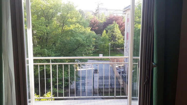 Blick vom Balkon auf grüne Bäume und die darunterliegende Straße, mit viel natürlichem Licht.
