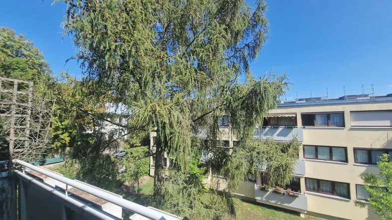 Blick von einem Balkon auf Bäume und ein gegenüberliegendes Gebäude unter blauem Himmel.