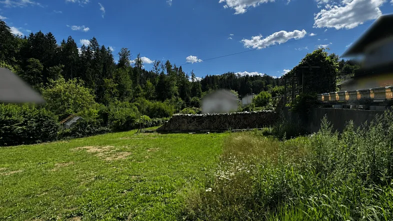 Weitläufige grüne Wiese mit Waldrand und gestapeltem Holz unter strahlend blauem Himmel.