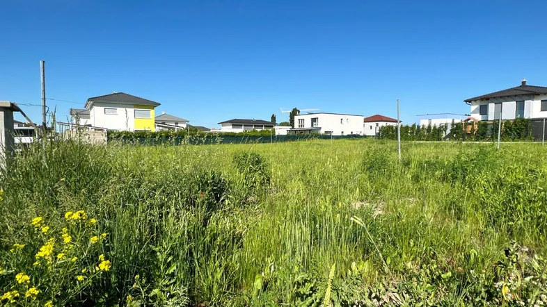 Weites, grünes Grundstück mit umliegenden Häusern unter strahlend blauem Himmel.