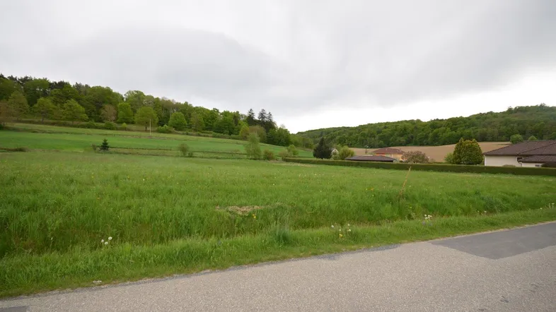 Weitläufiges grünes Feld mit Bäumen und Häusern im Hintergrund unter bewölktem Himmel.